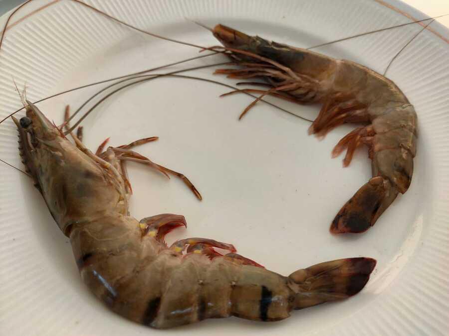 Pondicherry Institute of Hotel Management & Catering Technology Events photo 40